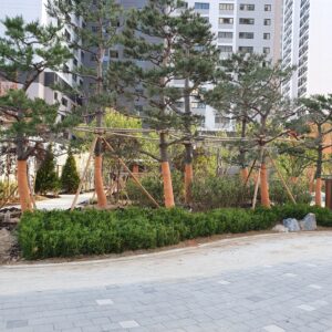 사진24