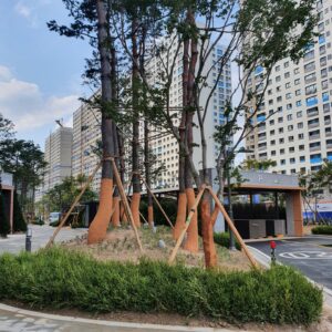 사진25